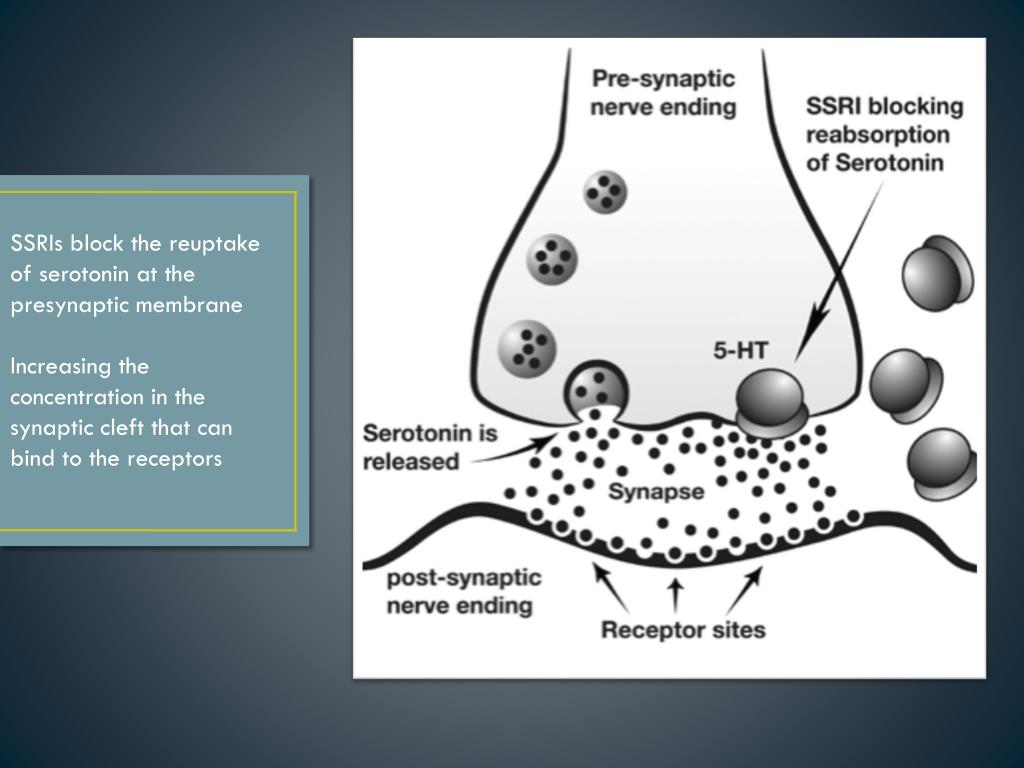PPT Selective Serotonin ReUptake Inhibitors (SSRIs