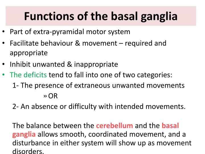PPT Basal Ganglia PowerPoint Presentation ID2474129