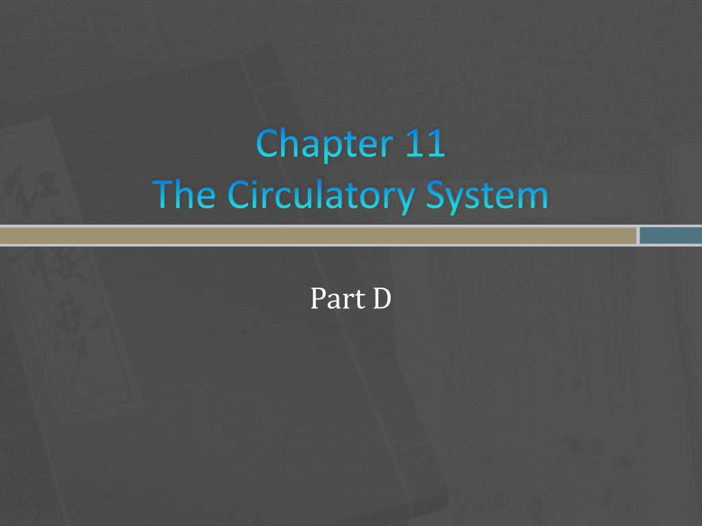 PPT - Chapter 11 The Circulatory System PowerPoint Presentation, free
