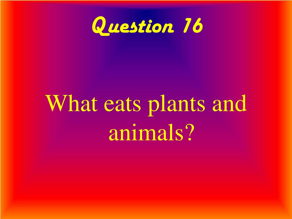 PPT Twenty Questions Animal Behavior PowerPoint Presentation, free