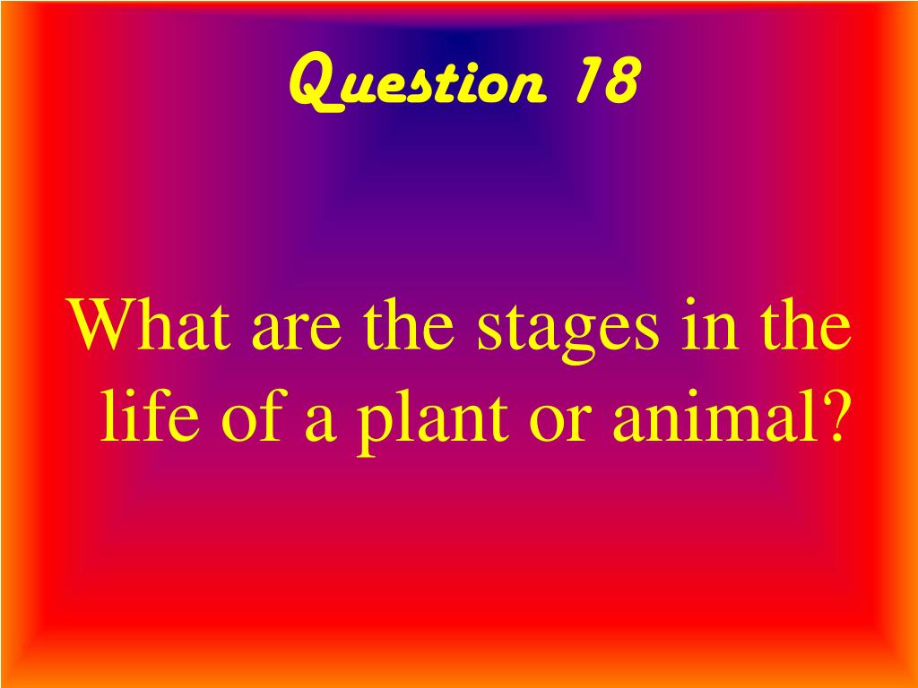 PPT Twenty Questions Animal Behavior PowerPoint Presentation, free
