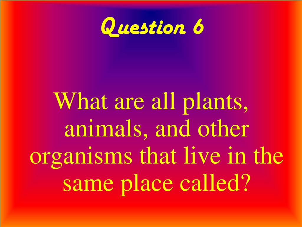 PPT Twenty Questions Animal Behavior PowerPoint Presentation, free