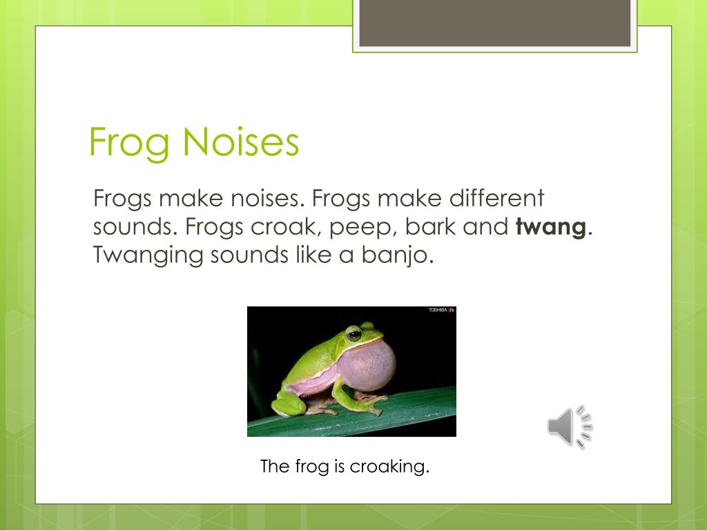 PPT Frogs are Fun PowerPoint Presentation, free download ID2478446