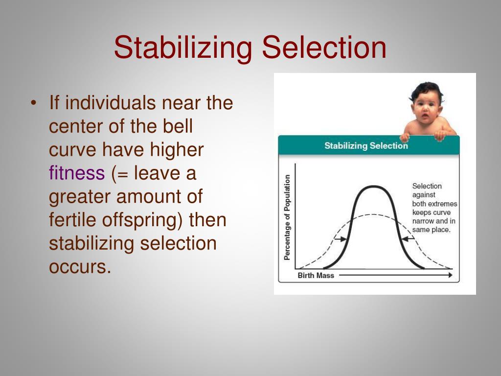 PPT Evolution PowerPoint Presentation, free download ID2480767