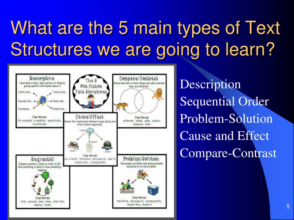 PPT Text Structure PowerPoint Presentation, free download ID2485077