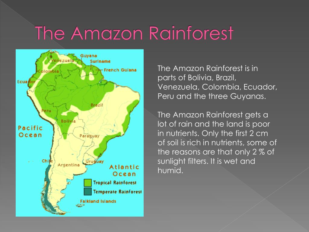 PPT Amazon Rainforest PowerPoint Presentation, free download ID2487004