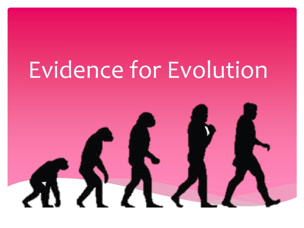 PPT Evidence for Evolution PowerPoint Presentation, free download ID2489006