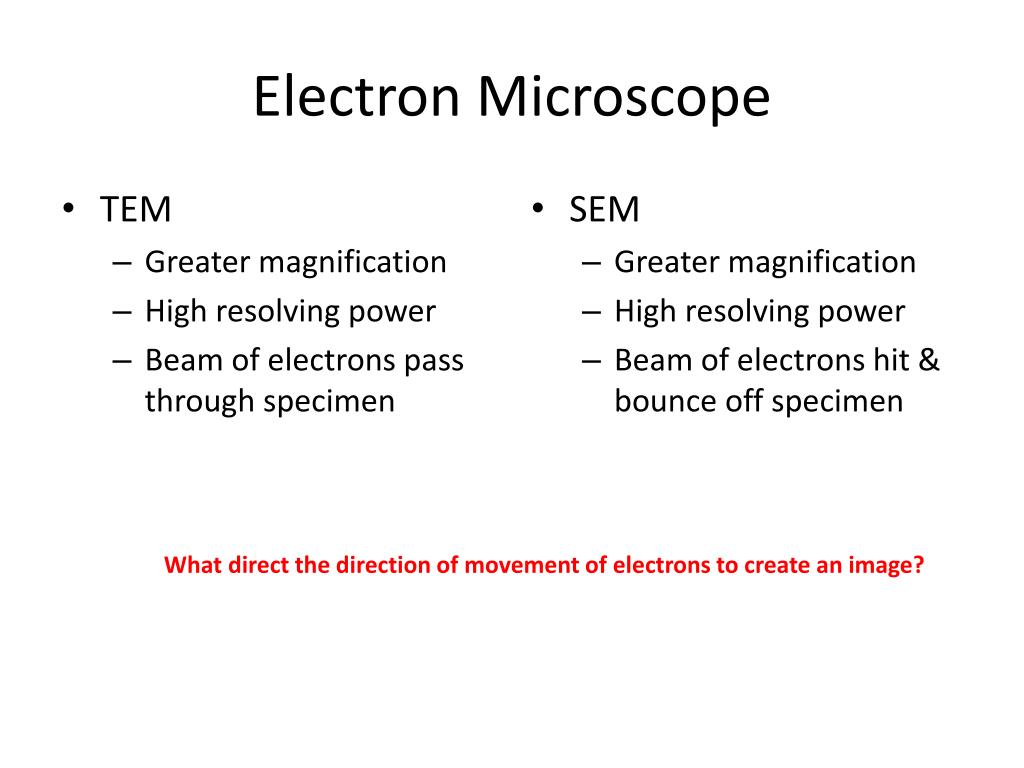 PPT Compound Light Microscope PowerPoint Presentation, free download
