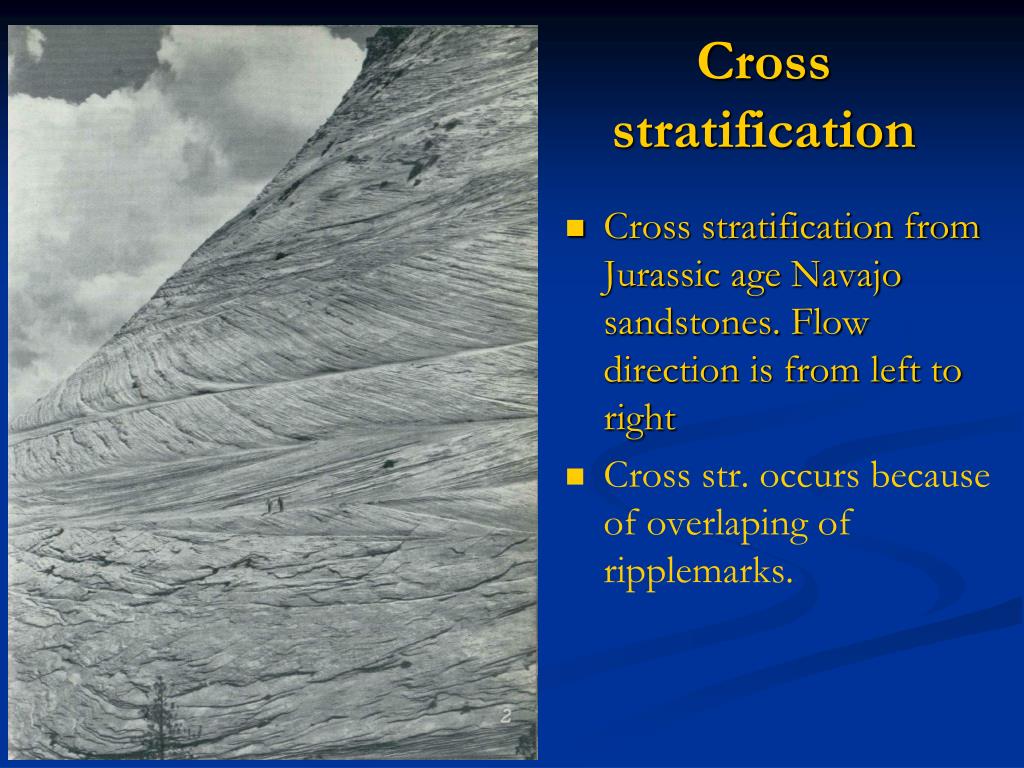 PPT Horizontal and continuous beds PowerPoint Presentation, free