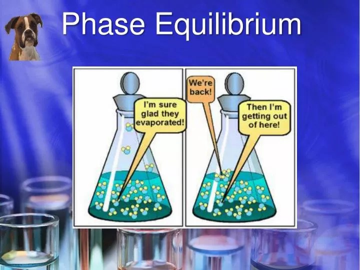 PPT Phase Equilibrium PowerPoint Presentation, free download ID2503286