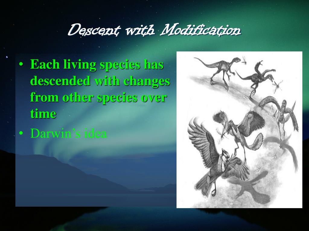 PPT Peppered Moths PowerPoint Presentation, free download ID2507034