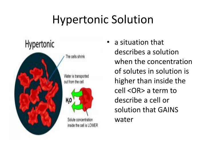 PPT Active Transport PowerPoint Presentation ID2510053