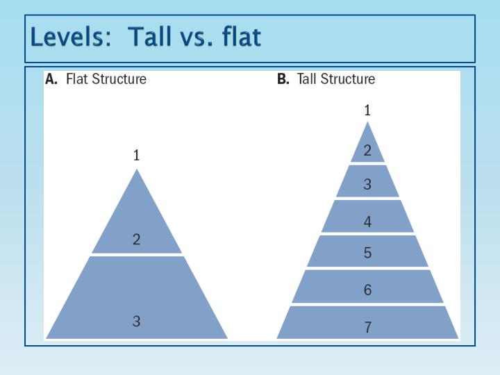 PPT Designing Organizational Structure Authority and Control PowerPoint Presentation ID