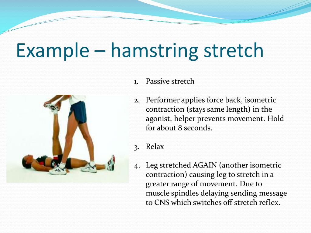 PPT Plyometrics and PNF Training PowerPoint Presentation, free