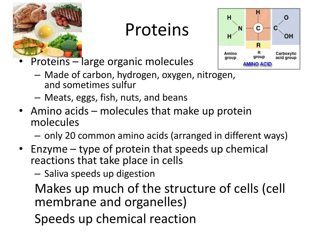 PPT Chemical Compounds in Cells PowerPoint Presentation, free