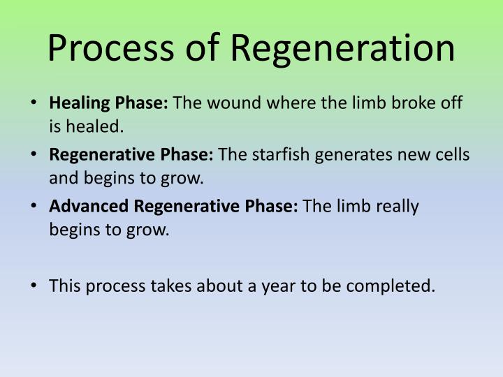 PPT Starfish Regeneration PowerPoint Presentation ID2519334