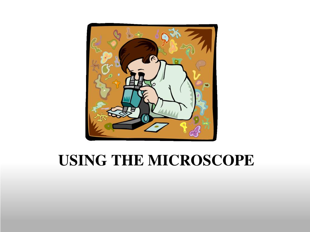 PPT Introduction to the Microscope PowerPoint Presentation, free