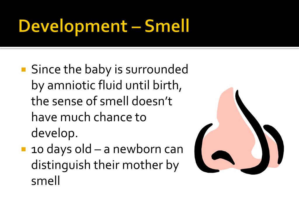 PPT Physical Development During the First Year PowerPoint