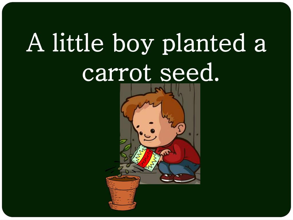 PPT The Carrot Seed PowerPoint Presentation, free download ID2521911