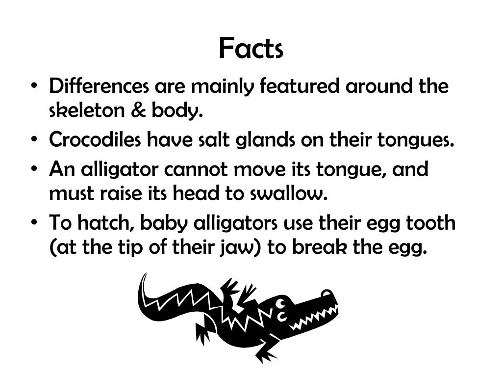PPT The Difference in Crocodiles & Alligators PowerPoint Presentation