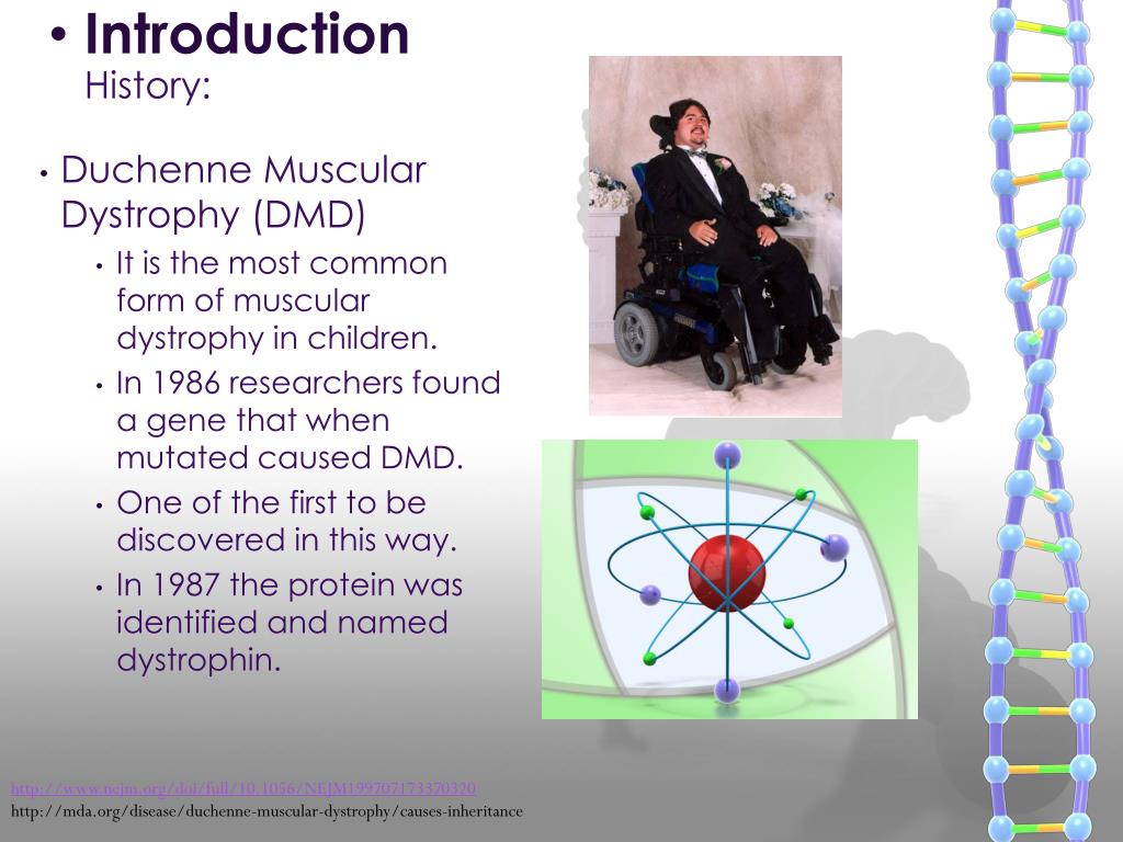 PPT Duchenne Muscular Dystrophy (DMD) PowerPoint Presentation, free