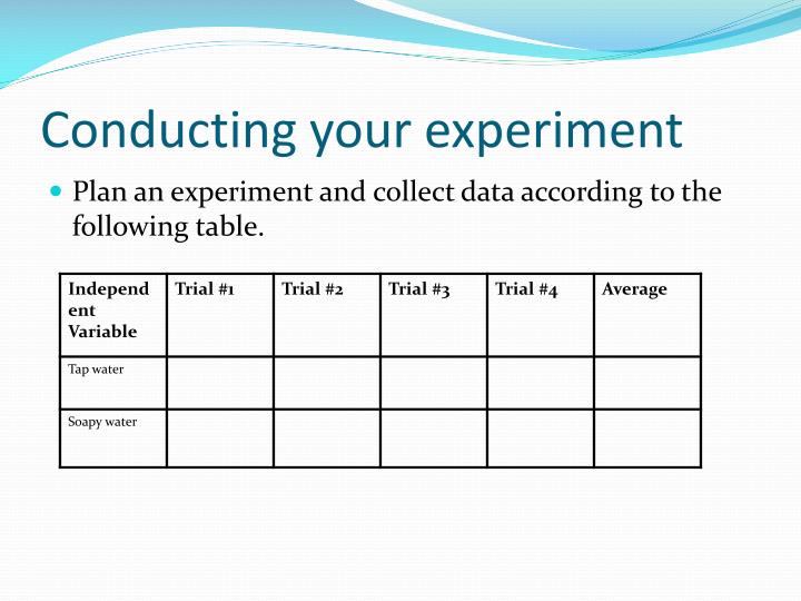 PPT Penny Lab PowerPoint Presentation ID2530446