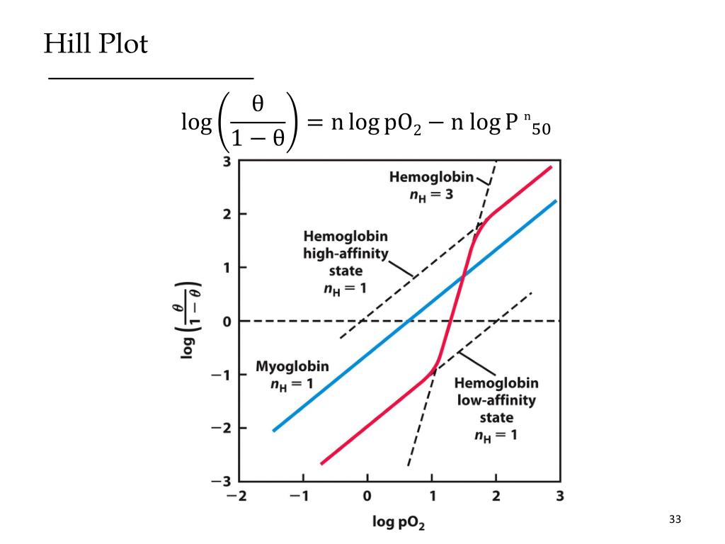 PPT Protein Function in the Context of Protein Ligand Interactions
