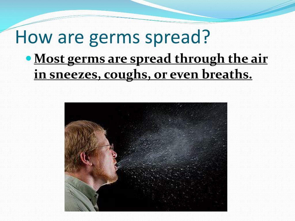 PPT Germs PowerPoint Presentation, free download ID2531191