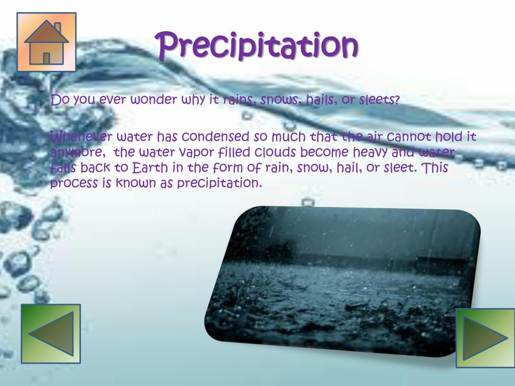 PPT The Water Cycle PowerPoint Presentation, free download ID2536003