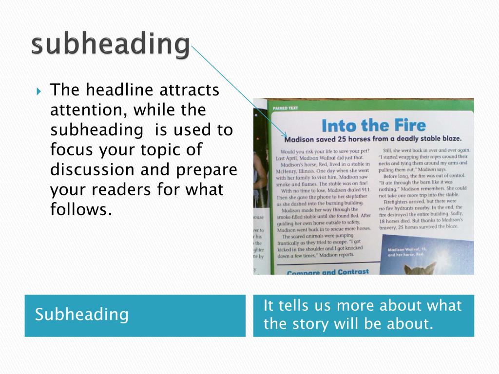 PPT Writing a Newspaper Article PowerPoint Presentation, free