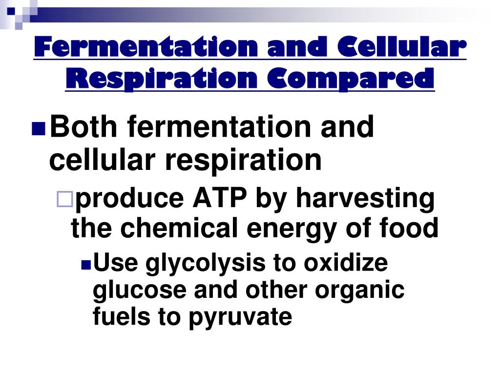 PPT Cellular Respiration Fermentation Ch. 9 PowerPoint Presentation