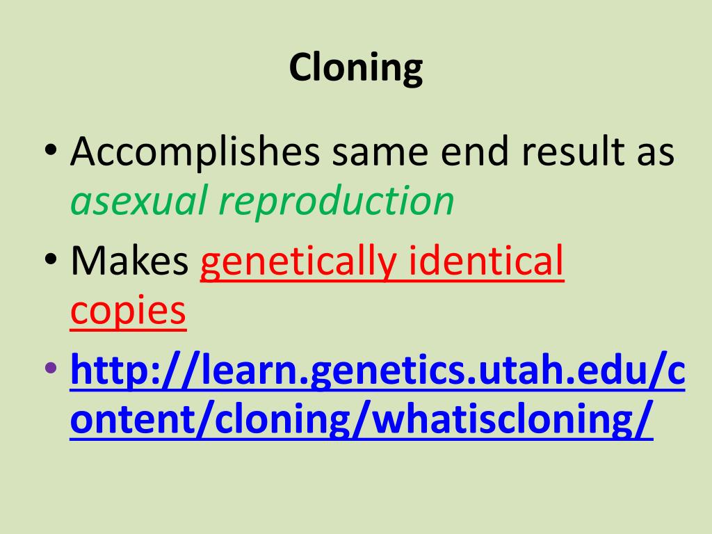 PPT What is Cloning? PowerPoint Presentation, free download ID2557609