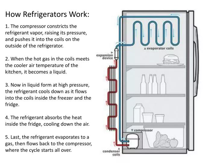 PPT How Refrigerators Work PowerPoint Presentation, free download