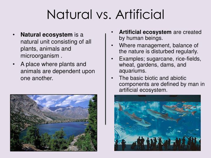 What Is Artificial Ecosystem Selection at Vincent Ricketts blog