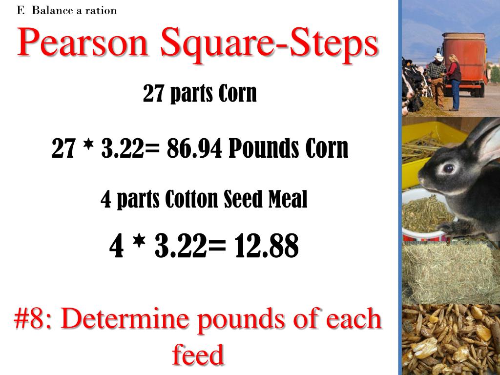PPT Animal Nutrition & Feeding PowerPoint Presentation ID2570570