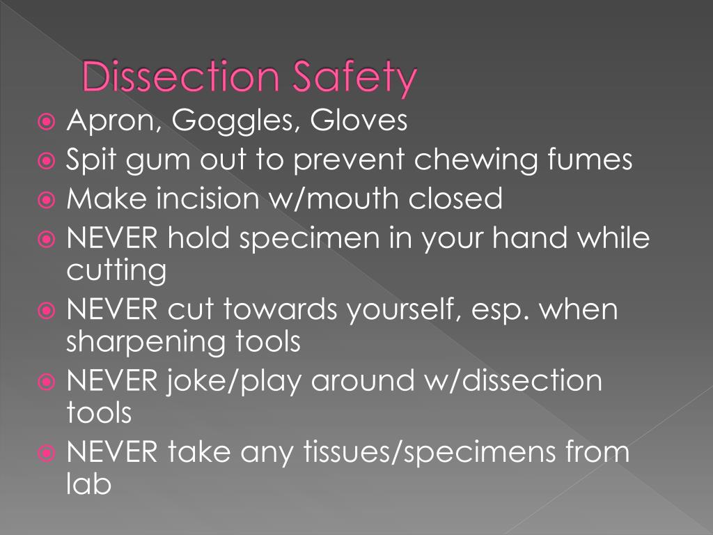 PPT Rat Dissection PowerPoint Presentation, free download ID2570656