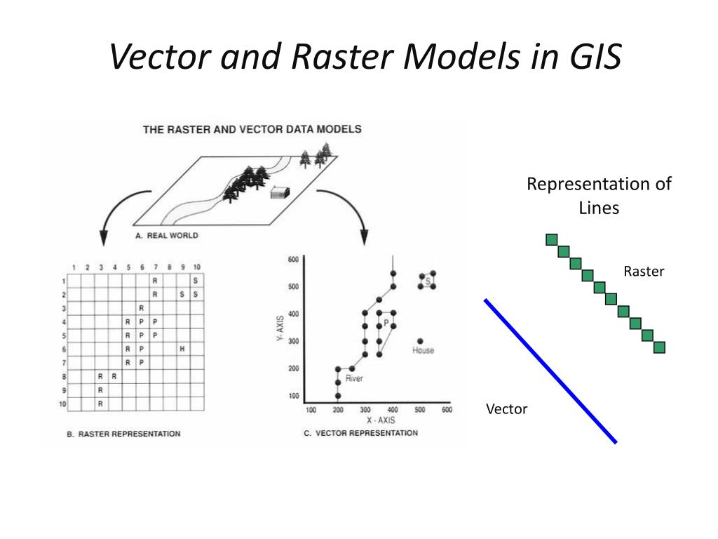 PPT Vector and Raster Data Models PowerPoint Presentation, free