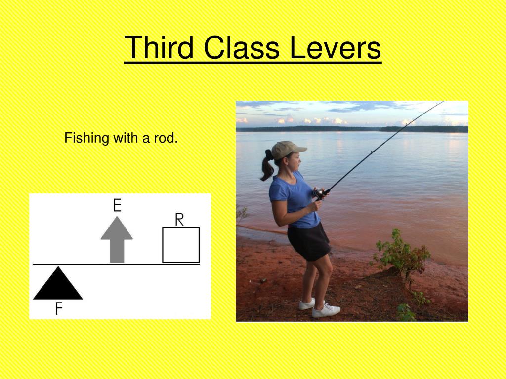 PPT Biomechanics PowerPoint Presentation, free download ID2573023