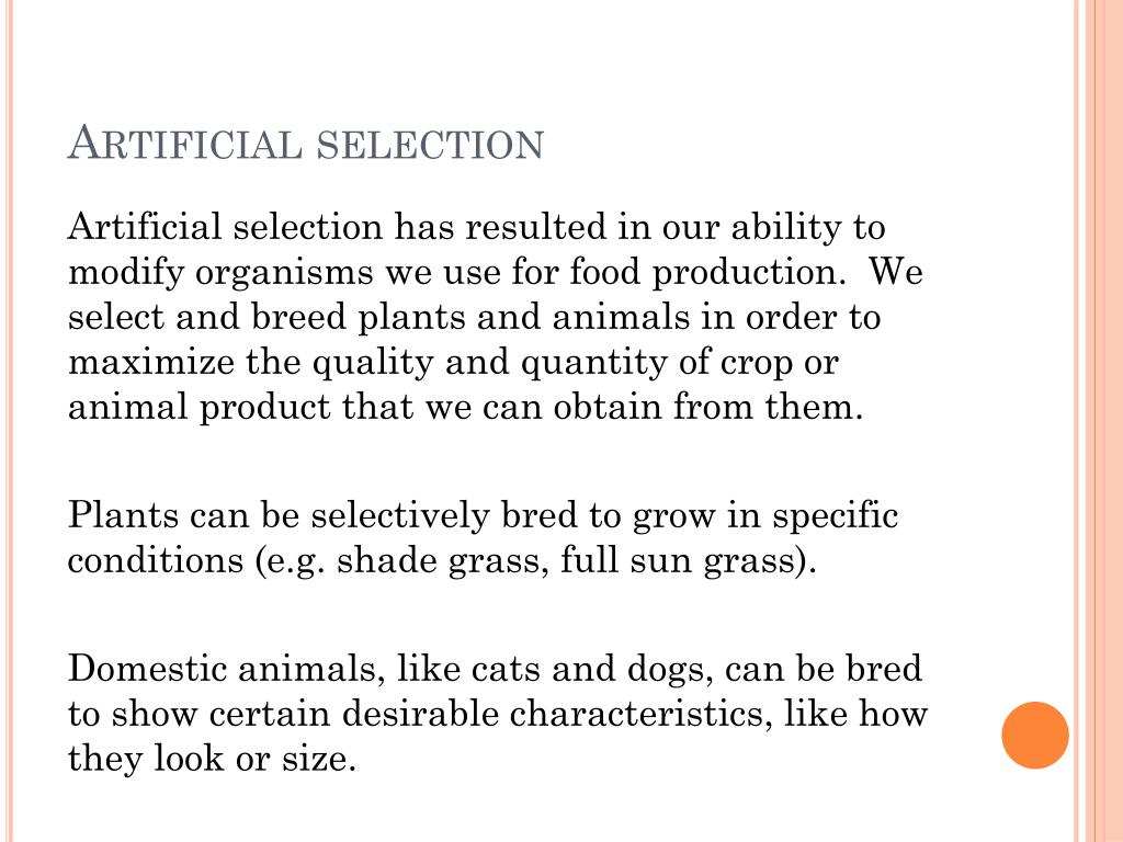 PPT 7.2 Natural Selection and Artificial Selection PowerPoint