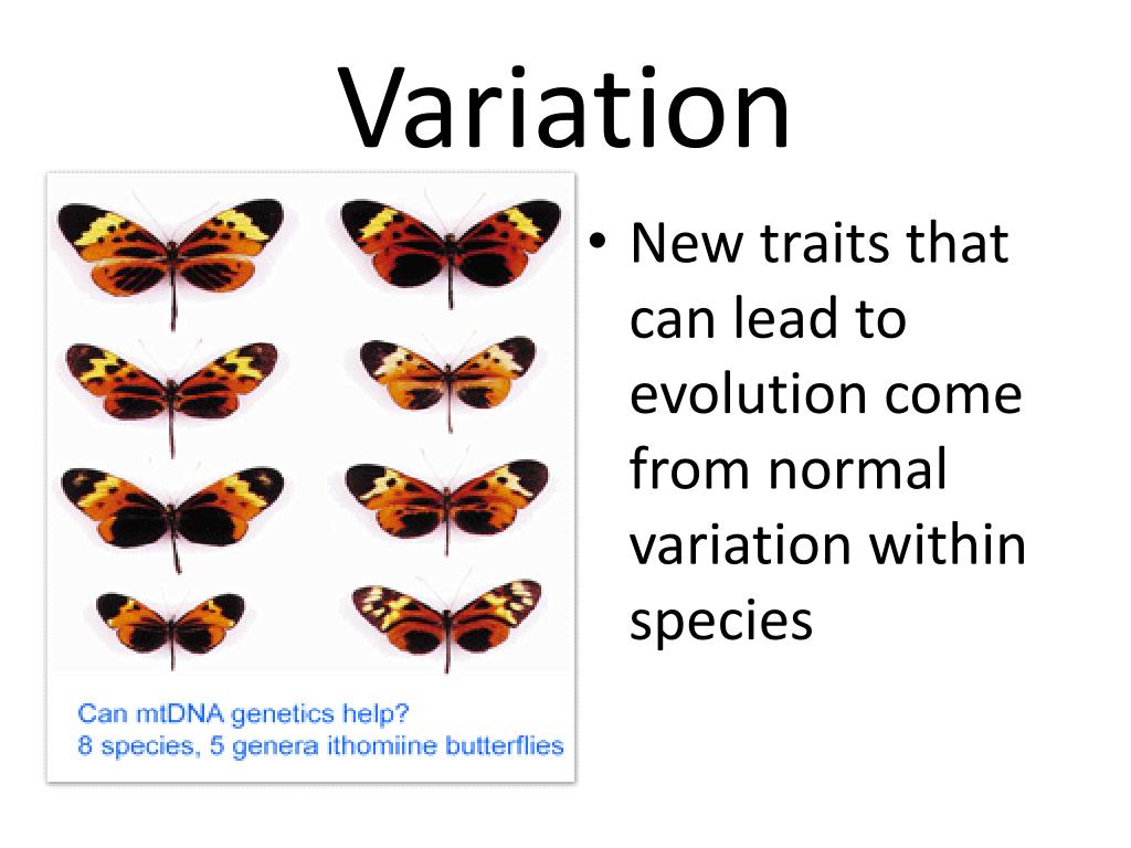 PPT AIM PowerPoint Presentation, free download ID2576830