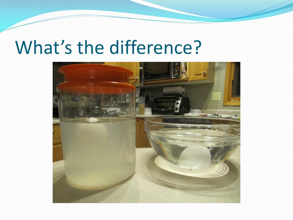 PPT - SALT WATER VS FRESH WATER PowerPoint Presentation, free download