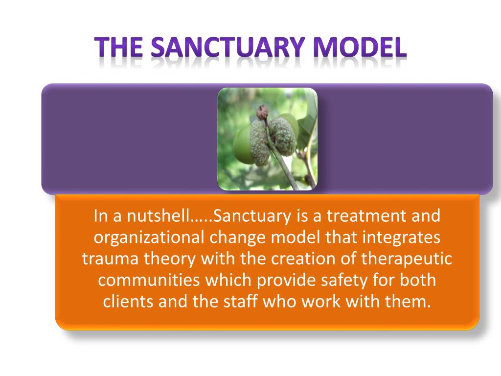 PPT What is Sanctuary? PowerPoint Presentation, free download ID