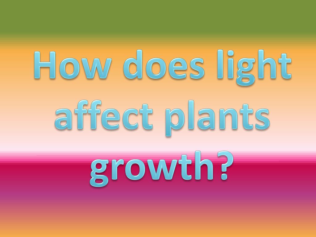 PPT Science Exit Project PowerPoint Presentation, free download ID