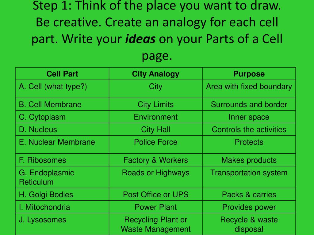 Plant Cell City Analogy Project