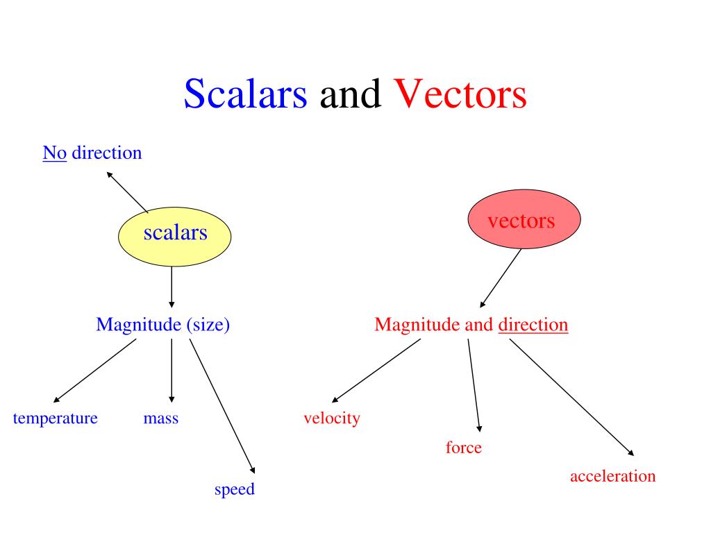 PPT Scalars and vectors PowerPoint Presentation, free download ID2583377