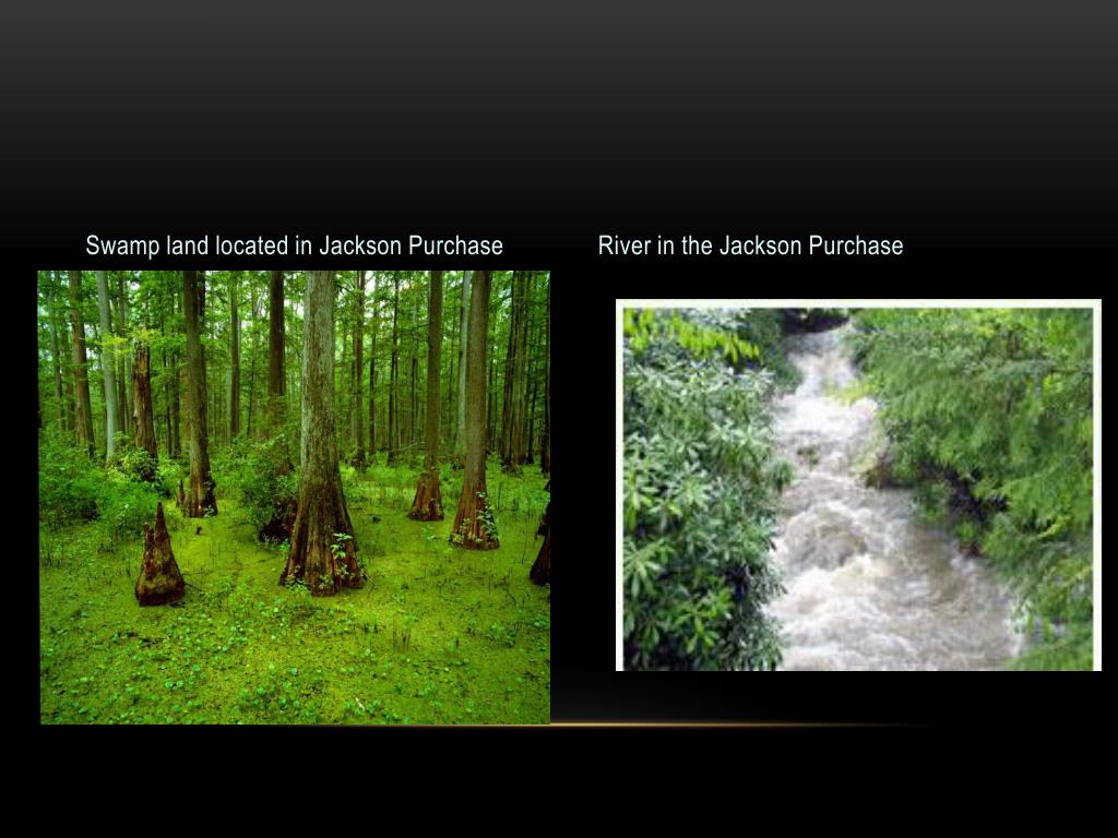 PPT Jackson Purchase PowerPoint Presentation, free download ID2584983