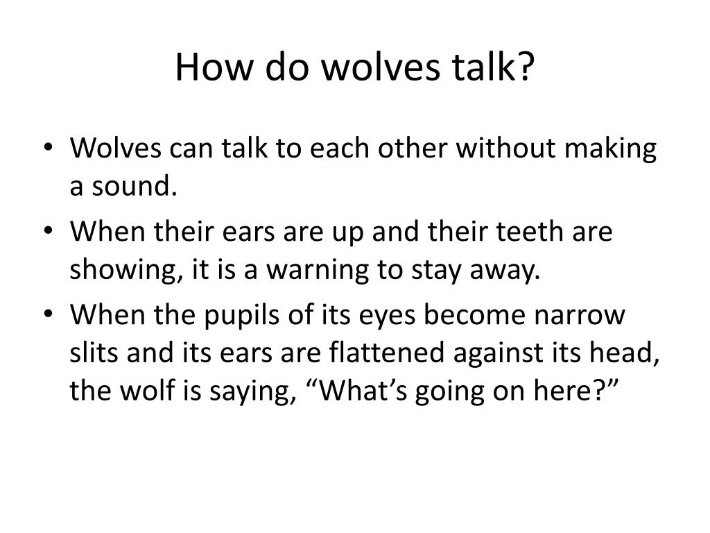 PPT Wolves PowerPoint Presentation, free download ID2585040