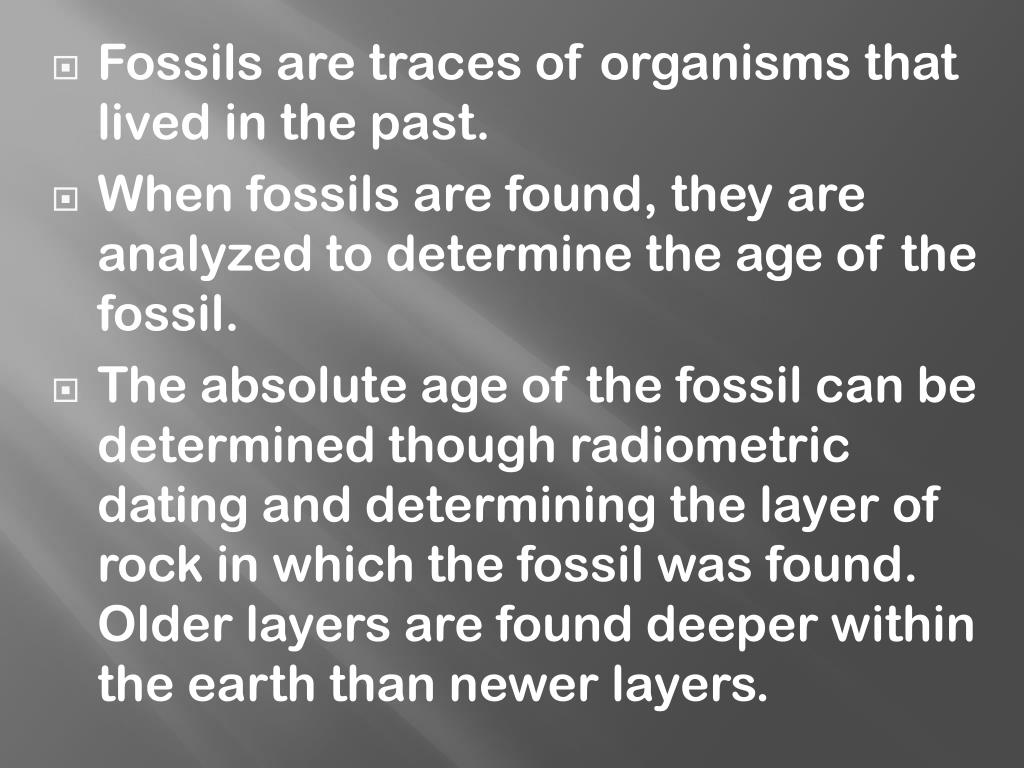 PPT - Examining the Fossil Record PowerPoint Presentation, free