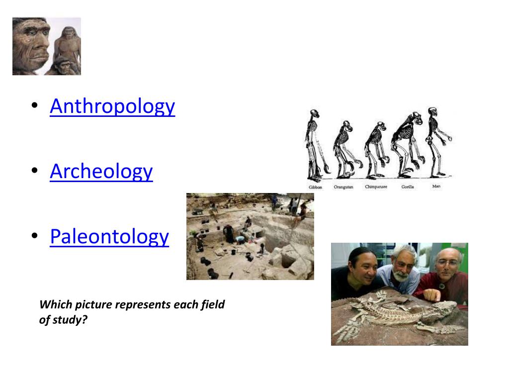 PPT Human Evolution PowerPoint Presentation, free download ID2588902