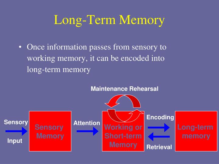 PPT Stage Model of Memory PowerPoint Presentation ID2594519